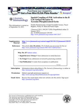 Tyrosine-Phosphorylated Ezrin Cell Antigen Receptor by Spatial Coupling of JNK Activation to the B