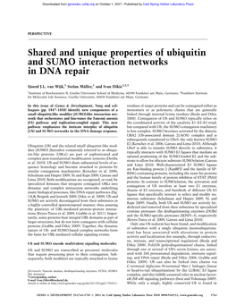 Shared and Unique Properties of Ubiquitin and SUMO Interaction Networks in DNA Repair