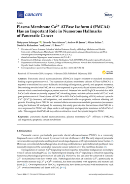 Plasma Membrane Ca2+ Atpase Isoform 4 (PMCA4) Has an Important Role in Numerous Hallmarks of Pancreatic Cancer