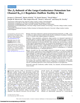 The Β4-Subunit of the Large-Conductance Potassium Ion Channel Kca1.1 Regulates Outflow Facility in Mice