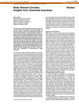 Review Brain Reward Circuitry