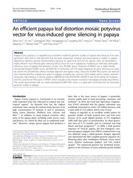 An Efficient Papaya Leaf Distortion Mosaic Potyvirus Vector for Virus