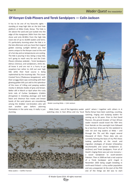 Of Kenyan Crab-Plovers and Terek Sandpipers — Colin Jackson