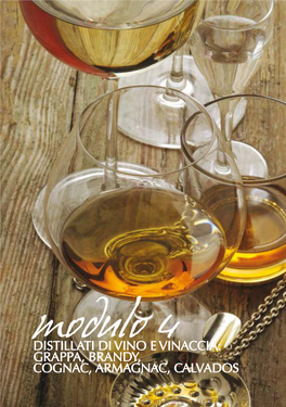 Distillati Di Vino E Vinaccia: Grappa, Brandy, Cognac, Armagnac, Calvados La Grappa