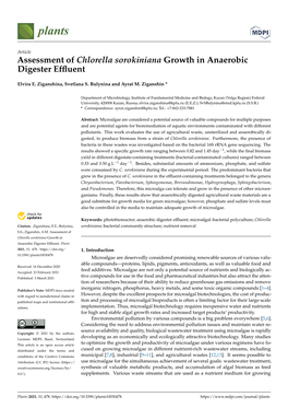 Assessment of Chlorella Sorokiniana Growth in Anaerobic Digester Effluent