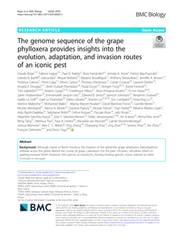 The Genome Sequence of the Grape Phylloxera