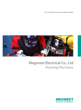 Megmeet Electrical Co