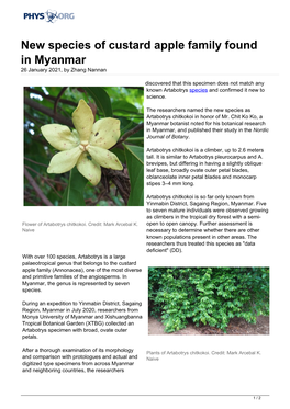 New Species of Custard Apple Family Found in Myanmar 26 January 2021, by Zhang Nannan