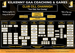 KILKENNY GAA Coaching & Games