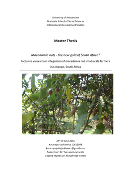 Master Thesis Macadamia Nuts