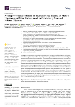 Neuroprotection Mediated by Human Blood Plasma in Mouse Hippocampal Slice Cultures and in Oxidatively Stressed Human Neurons