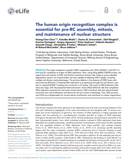 The Human Origin Recognition Complex Is Essential for Pre-RC Assembly