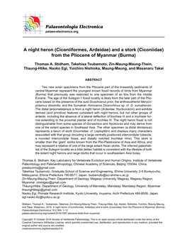 Ciconiiformes, Ardeidae) and a Stork (Ciconiidae) from the Pliocene of Myanmar (Burma