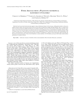 Fossil Araceae from a Paleocene Neotropical Rainforest in Colombia1