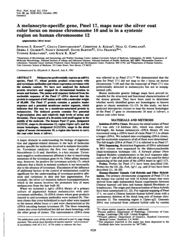 A Melanocyte-Specific Gene, Pmel 17, Maps Near the Silver Coat Color Locus on Mouse Chromosome 10 and Is in a Syntenic Region On