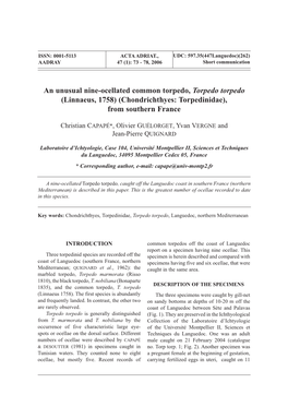 An Unusual Nine-Ocellated Common Torpedo, Torpedo Torpedo (Linnaeus, 1758) (Chondrichthyes: Torpedinidae), from Southern France