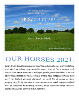 Dejan Krunic Sporthorses Is Committed to Producing Horses That Meet Three Tests Which We Believe Are Essential to Success in Sport