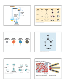 Ch.04Carbon and the Molecular Diversity of Life