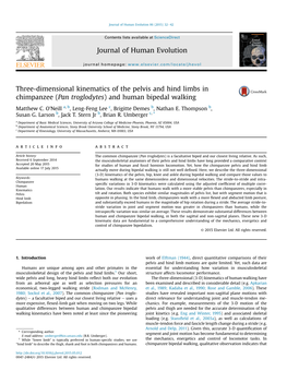 Three-Dimensional Kinematics of the Pelvis and Hind Limbs in Chimpanzee (Pan Troglodytes) and Human Bipedal Walking