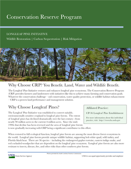 LONGLEAF PINE INITIATIVE Wildlife Restoration | Carbon Sequestration | Risk Mitigation