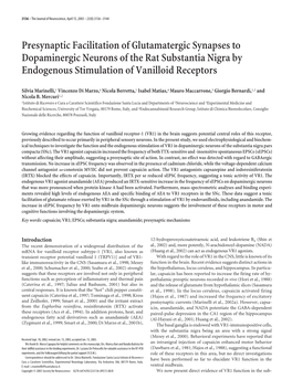 Presynaptic Facilitation of Glutamatergic Synapses to Dopaminergic Neurons of the Rat Substantia Nigra by Endogenous Stimulation of Vanilloid Receptors