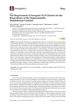 The Requirement of Inorganic Fe-S Clusters for the Biosynthesis of the Organometallic Molybdenum Cofactor