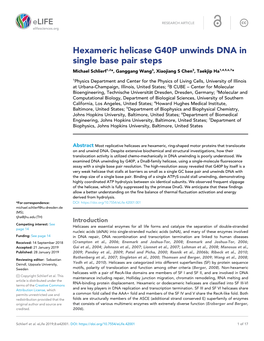 Hexameric Helicase G40P Unwinds DNA in Single Base Pair Steps Michael Schlierf1,2*, Ganggang Wang3, Xiaojiang S Chen3, Taekjip Ha1,4,5,6,7*