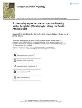 Species Diversity in the Bangiales (Rhodophyta) Along the South African Coast