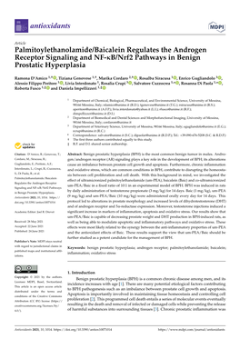 Palmitoylethanolamide/Baicalein Regulates the Androgen Receptor Signaling and NF-Κb/Nrf2 Pathways in Benign Prostatic Hyperplasia