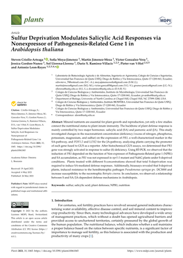 Sulfur Deprivation Modulates Salicylic Acid Responses Via Nonexpressor of Pathogenesis-Related Gene 1 in Arabidopsis Thaliana