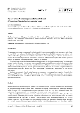 Review of the Nearctic Species of Drusilla Leach (Coleoptera: Staphylinidae: Aleocharinae)