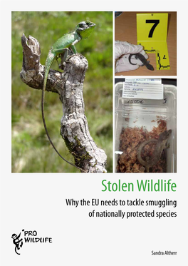 Stolen Wildlife. Why the EU Needs to Tackle Smuggling of Nationally Protected Species