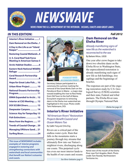 Newswave-Fall 2012