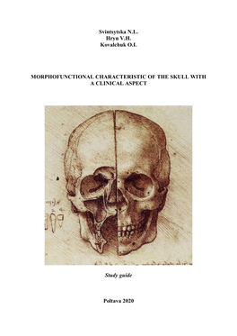 Skull Joints