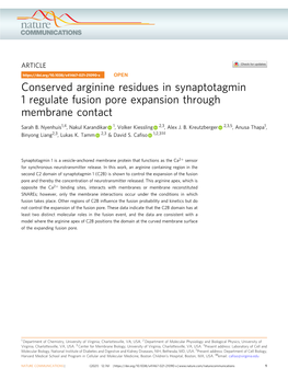 Conserved Arginine Residues in Synaptotagmin 1 Regulate Fusion Pore Expansion Through Membrane Contact