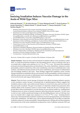 Ionizing Irradiation Induces Vascular Damage in the Aorta of Wild-Type Mice