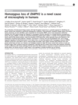 Homozygous Loss of DIAPH1 Is a Novel Cause of Microcephaly in Humans