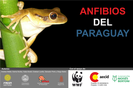 Weiler Et Al. 2013 Anfibios Del Paraguay-01