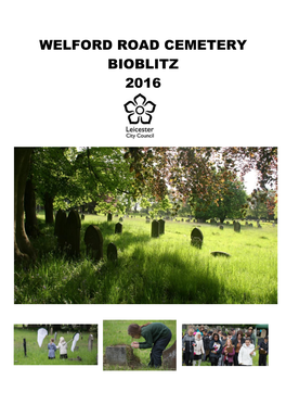 Welford Road Cemetery Bioblitz 2016