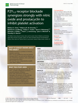 P2Y12 Receptor Blockade Synergizes Strongly with Nitric Oxide And