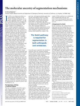 The Molecular Ancestry of Segmentation Mechanisms