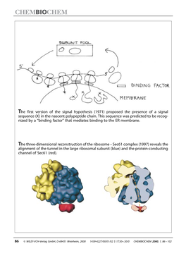 The First Version of the Signal Hypothesis (1971) Proposed the Presence of a Signal Sequence (X) in the Nascent Polypeptide Chain