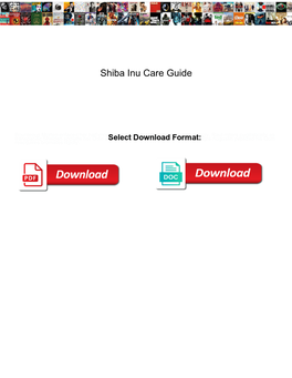 Shiba Inu Care Guide