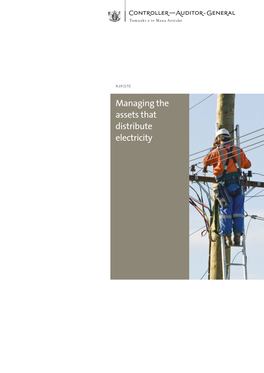 Managing the Assets That Distribute Electricity