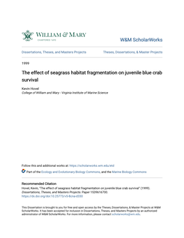 The Effect of Seagrass Habitat Fragmentation on Juvenile Blue Crab Survival