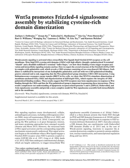 Wnt5a Promotes Frizzled-4 Signalosome Assembly by Stabilizing Cysteine-Rich Domain Dimerization