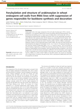 Feruloylation and Structure of Arabinoxylan in Wheat Endosperm Cell Walls from Rnai Lines with Suppression of Genes Responsible for Backbone Synthesis and Decoration