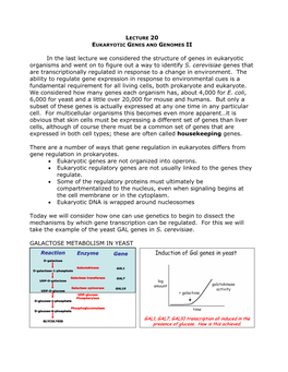 Lecture 20 Eukaryotic Genes and Genomes Ii