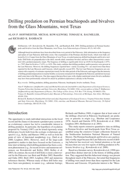 Drilling Predation on Permian Brachiopods and Bivalves from the Glass Mountains, West Texas