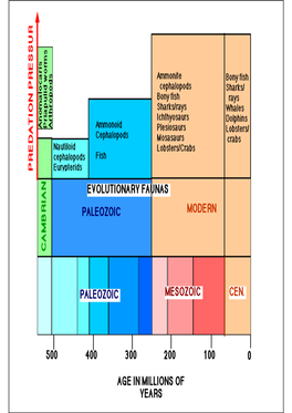 The Devonian Period Was a Time of Rapid Evolution for the Land Plants